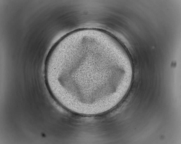 X0000101420990200808041124