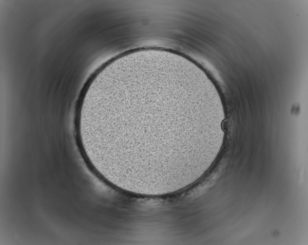 X0000101420991200808041124