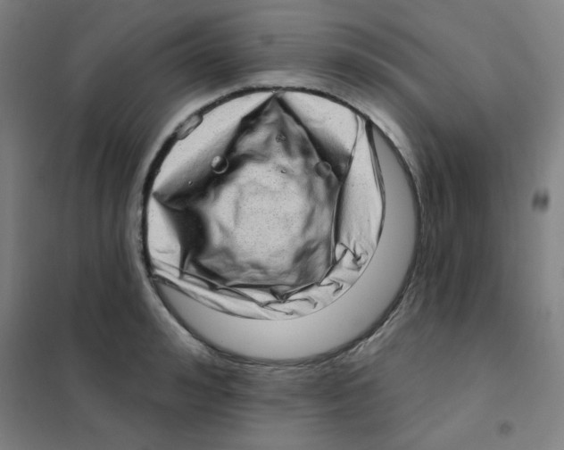 X0000101420992200808041124