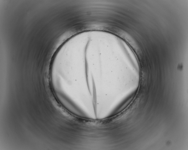 X0000101420994200808041124