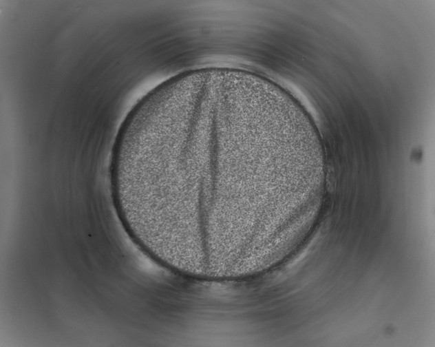 X0000101420995200808041123