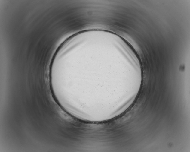 X0000101420996200808041123
