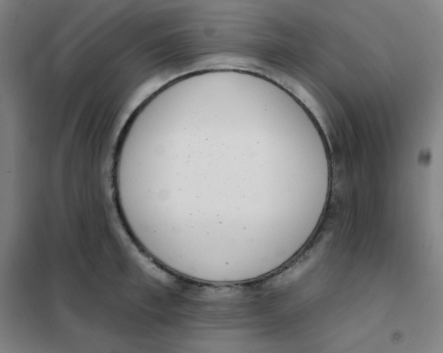 X0000101420997200808041123