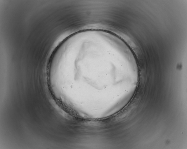 X0000101420998200808041123