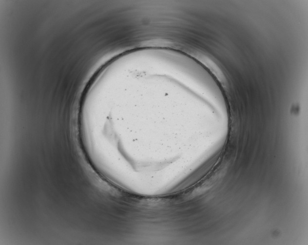 X0000101421000200808041123