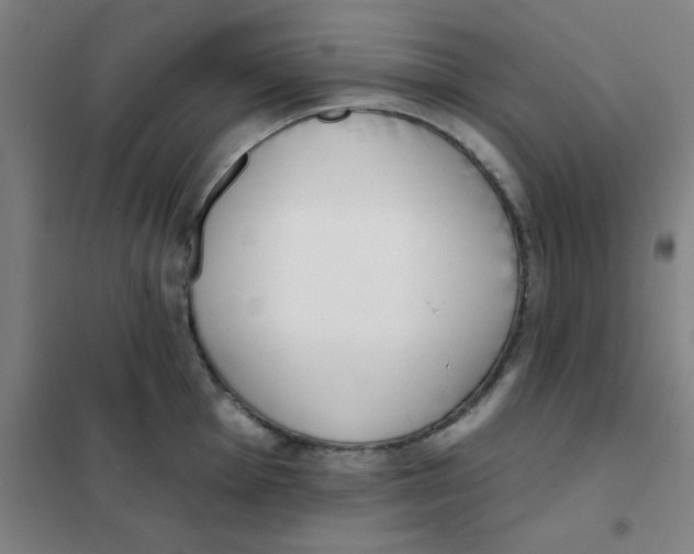 X0000101421001200808041123