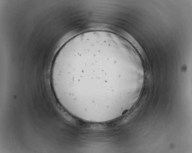 X0000101421002200808041123
