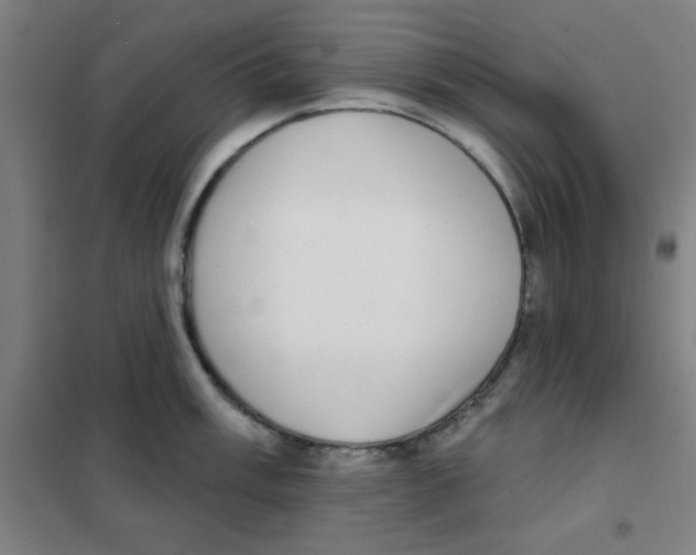 X0000101421003200808041123