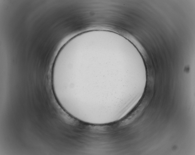 X0000101421004200808041123