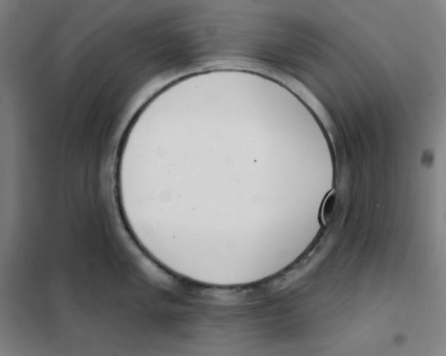 X0000101421005200808041123