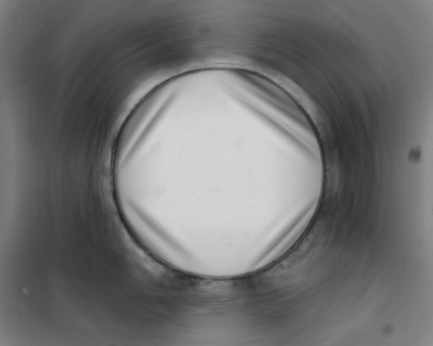 X0000101421006200808041123
