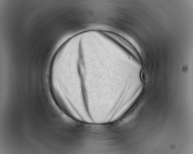 X0000101421007200808041123