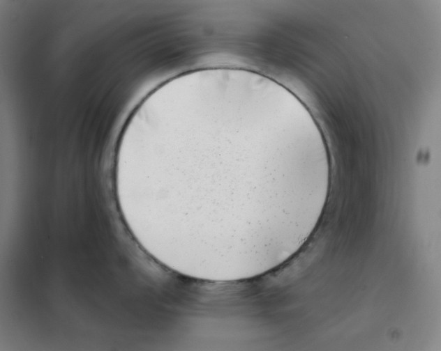 X0000101421008200808041123