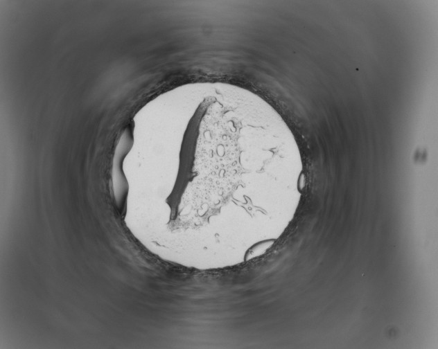 X0000101421009200808041123