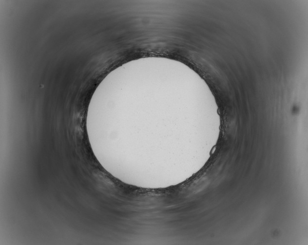 X0000101421010200808041123