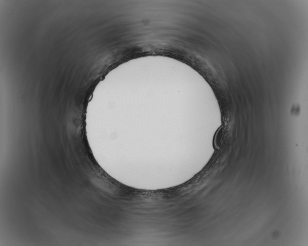 X0000101421012200808041123