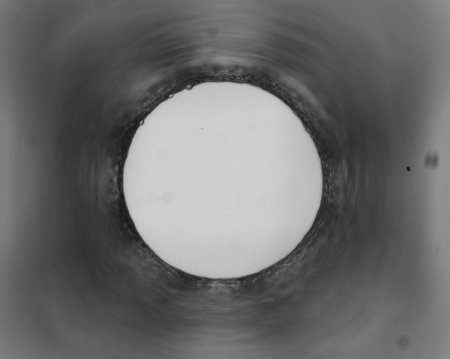 X0000101421013200808041123