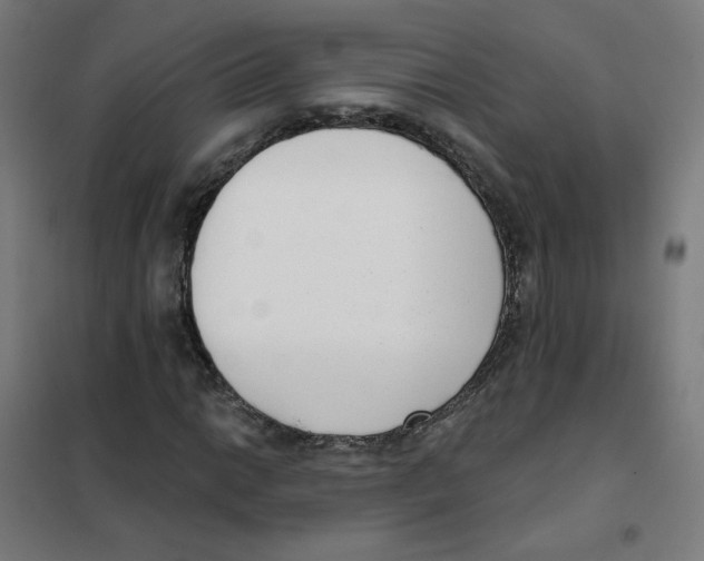 X0000101421014200808041123