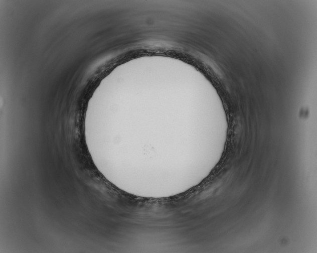 X0000101421016200808041123