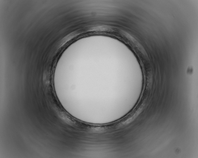 X0000101421017200808041123