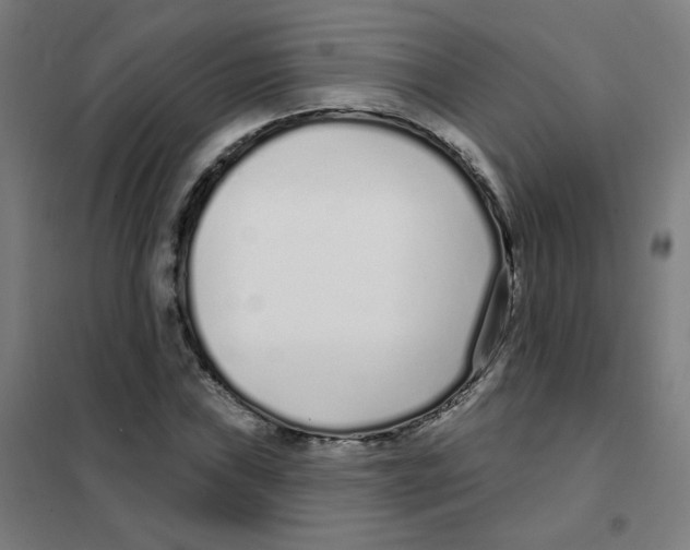 X0000101421019200808041123