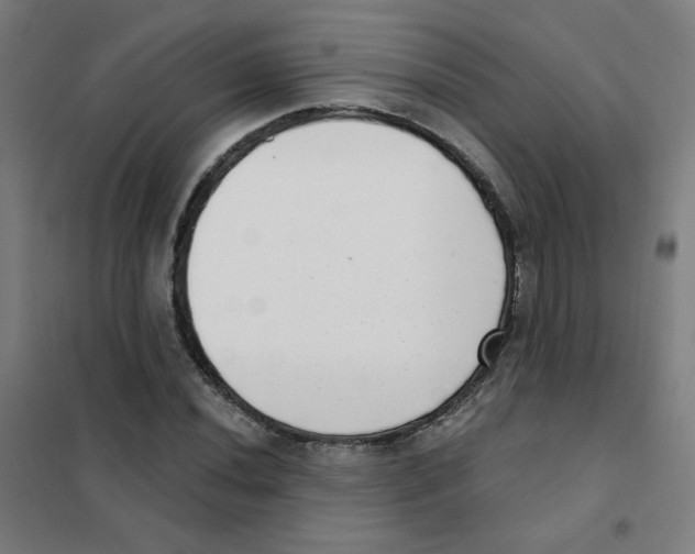 X0000101421020200808041123