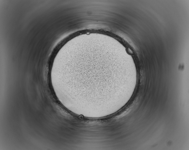 X0000101421021200808041123