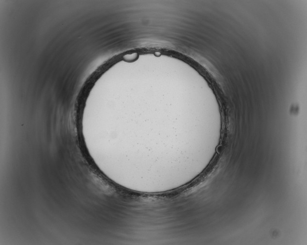 X0000101421022200808041123