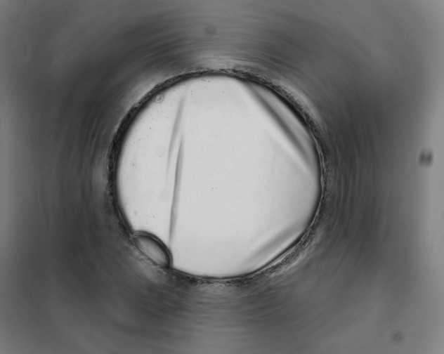 X0000101421023200808041123