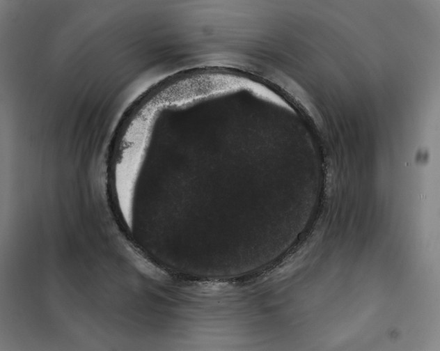 X0000101421024200808041123