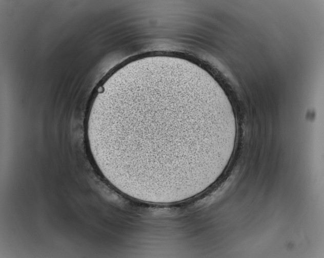 X0000101421025200808041123