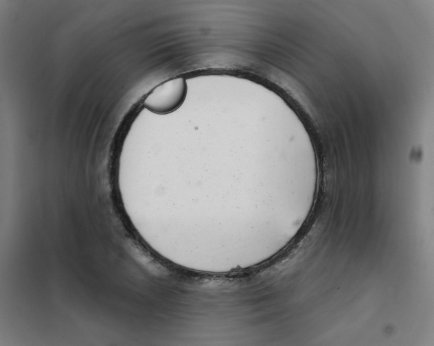 X0000101421026200808041123