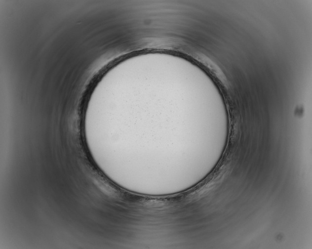 X0000101421027200808041123