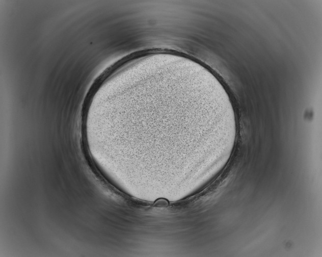 X0000101421028200808041123