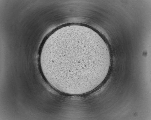 X0000101421029200808041123