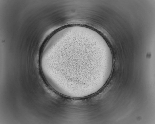 X0000101421030200808041123