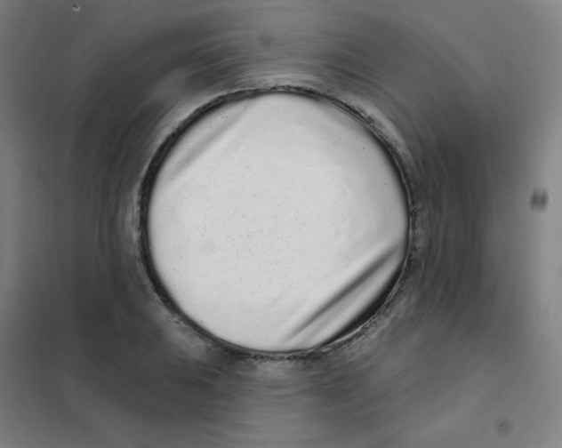 X0000101421031200808041123