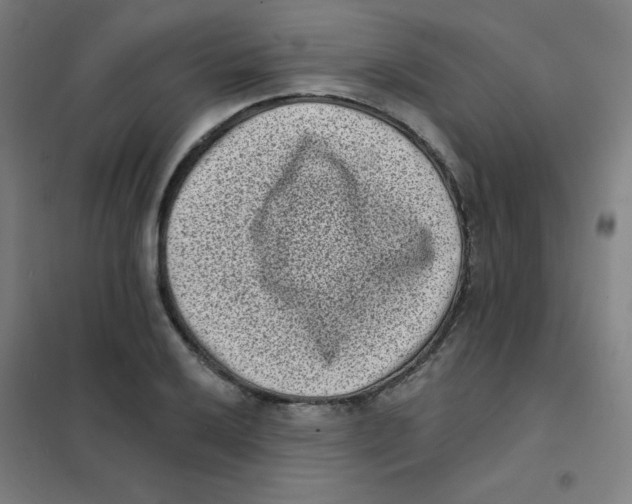 X0000101421032200808041123