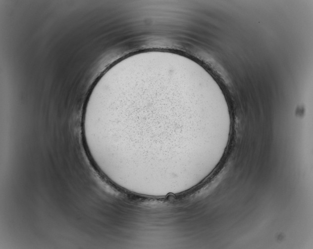 X0000101421033200808041123