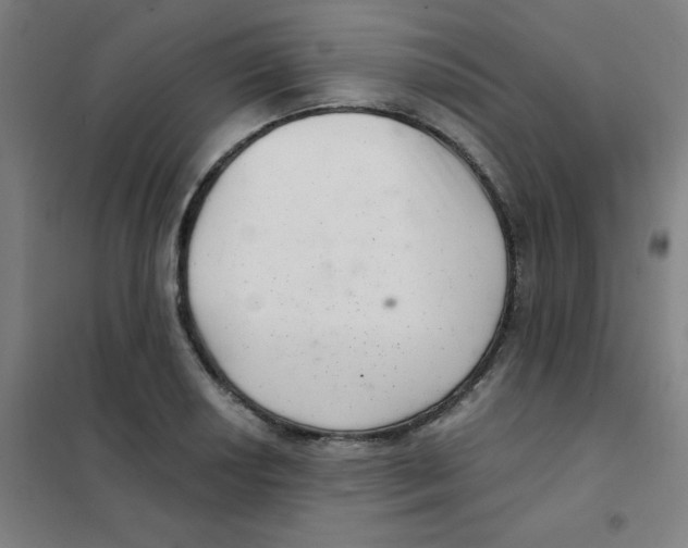 X0000101421034200808041123
