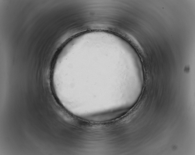 X0000101421035200808041123