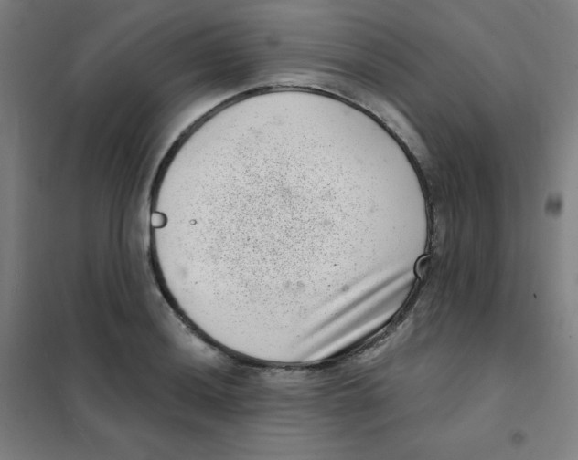 X0000101421036200808041123