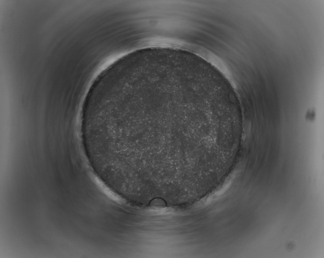 X0000101421037200808041123