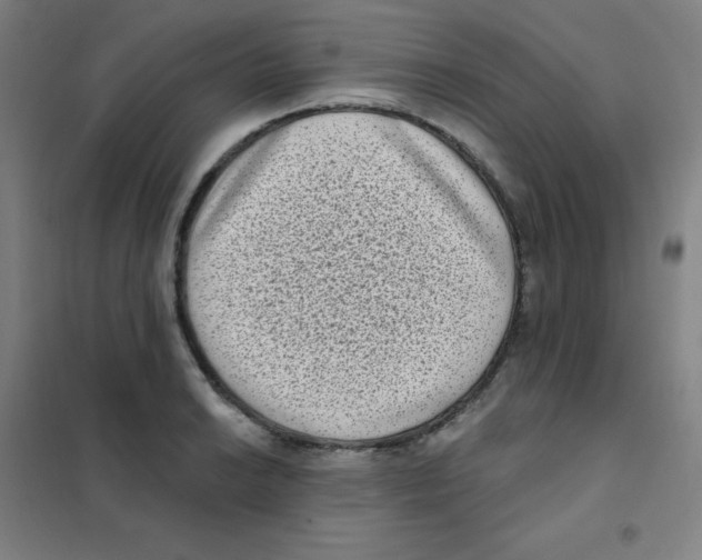 X0000101421038200808041123