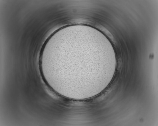 X0000101421039200808041123