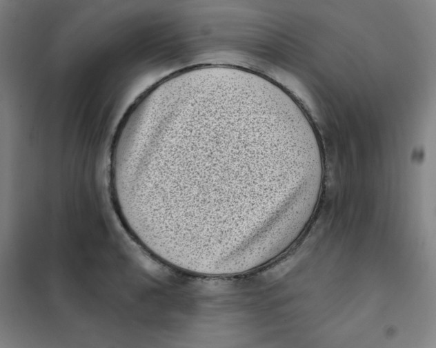 X0000101421040200808041123