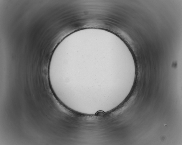 X0000101421041200808041123