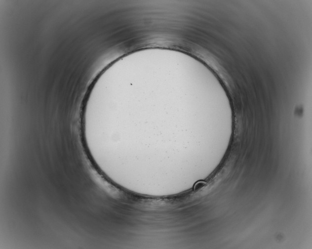 X0000101421042200808041123