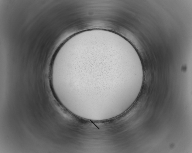 X0000101421043200808041123