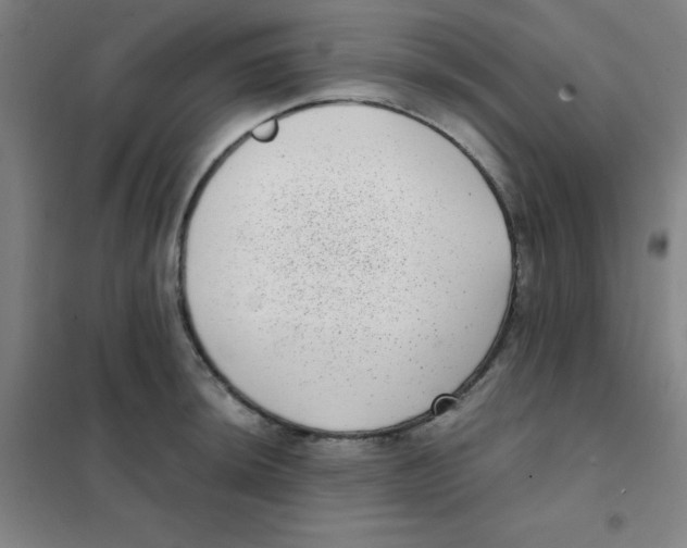 X0000101421044200808041123